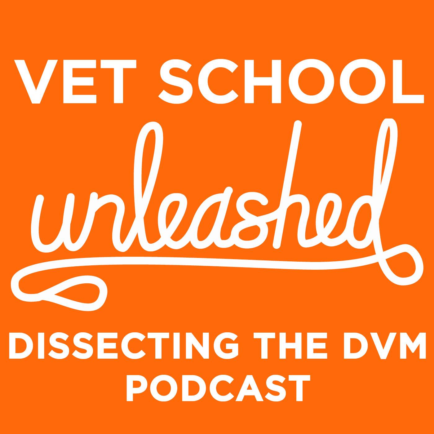 Vet School Unleashed Podcast: Dissecting the DVM